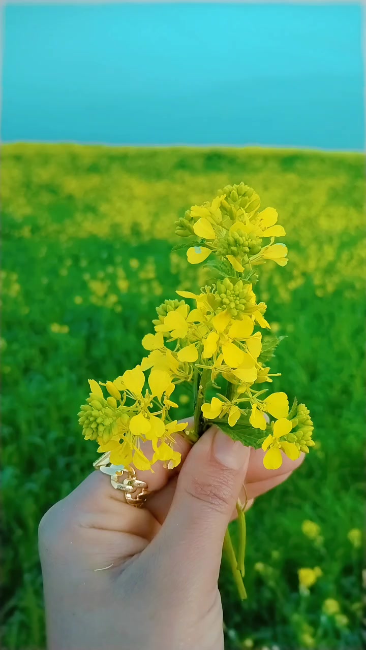 @نـ ـــونـ ــــە🕊️🤍