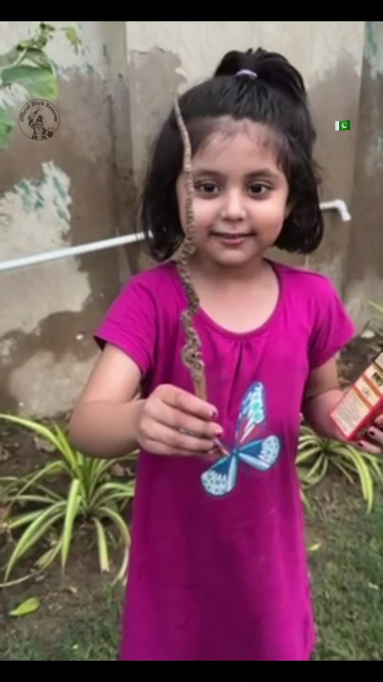 @Official Stick Reviews
