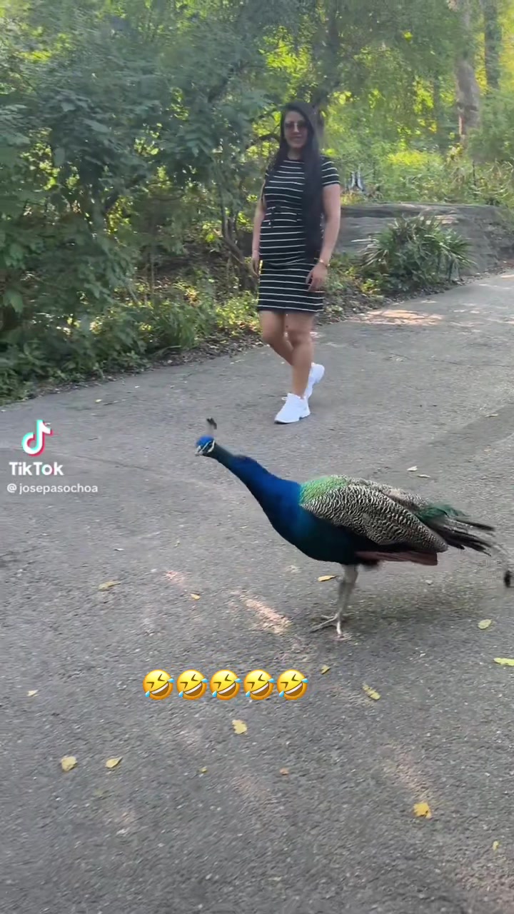 @🫶Chio Rodriguez 🫶🇪🇨🇱🇷