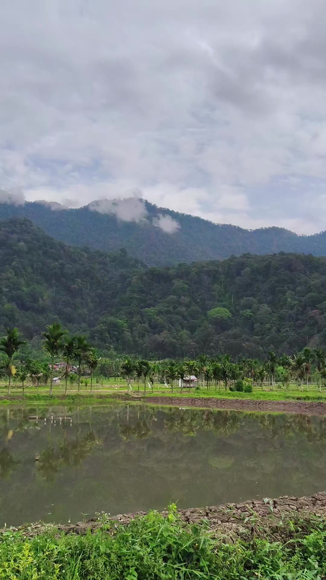 @Rio rikardo
