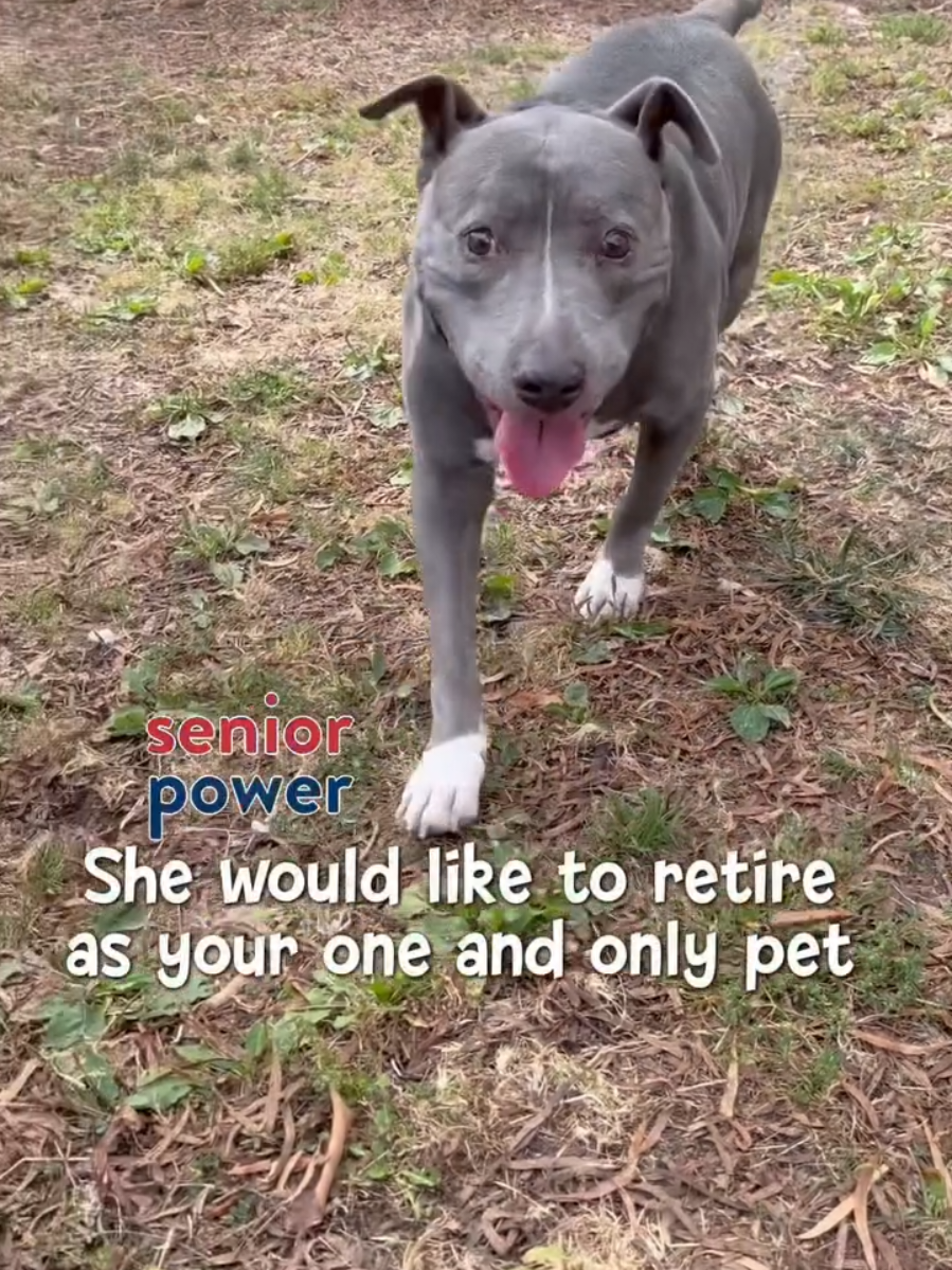 @Oakland Animal Services