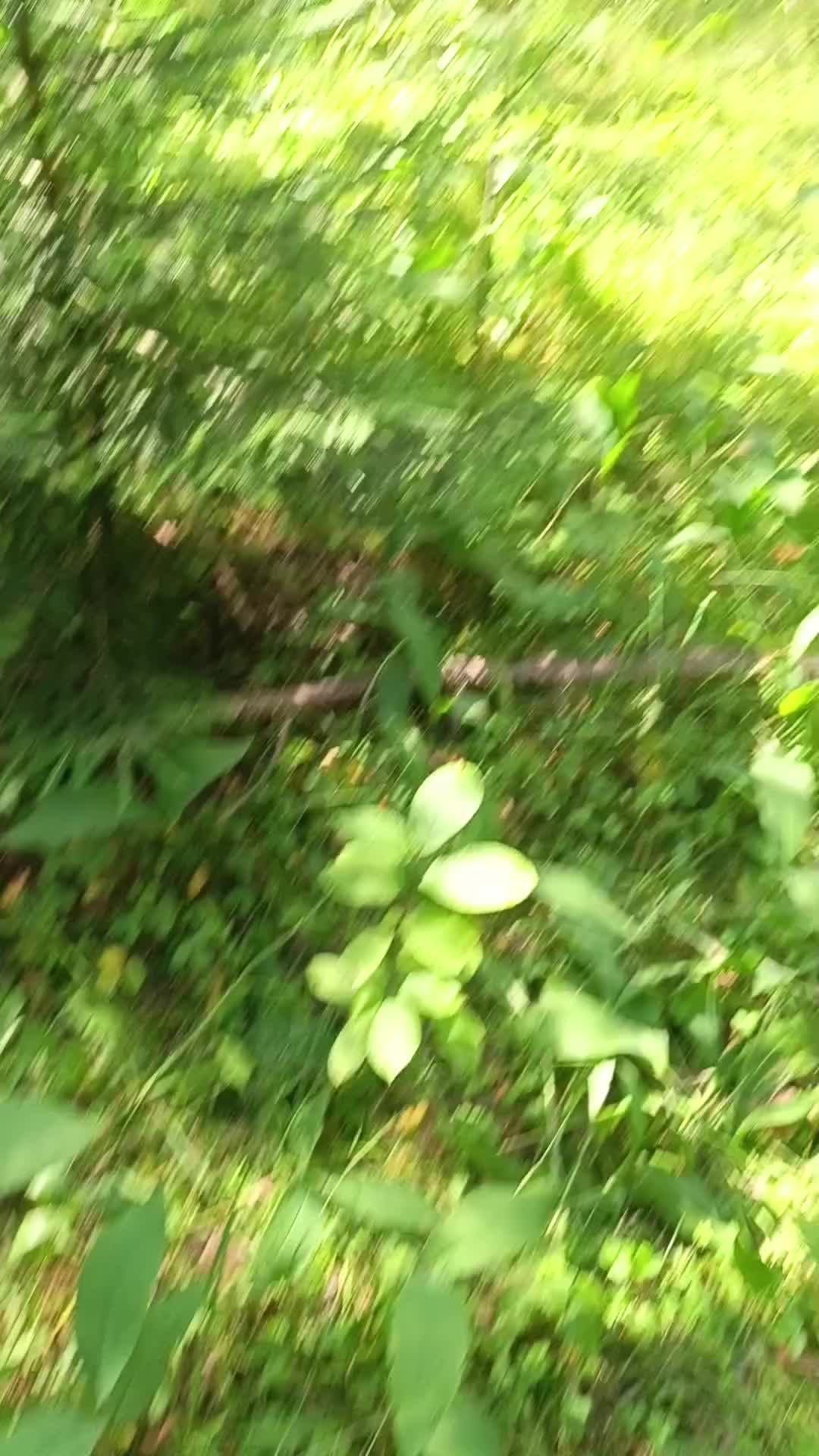 @мучачо