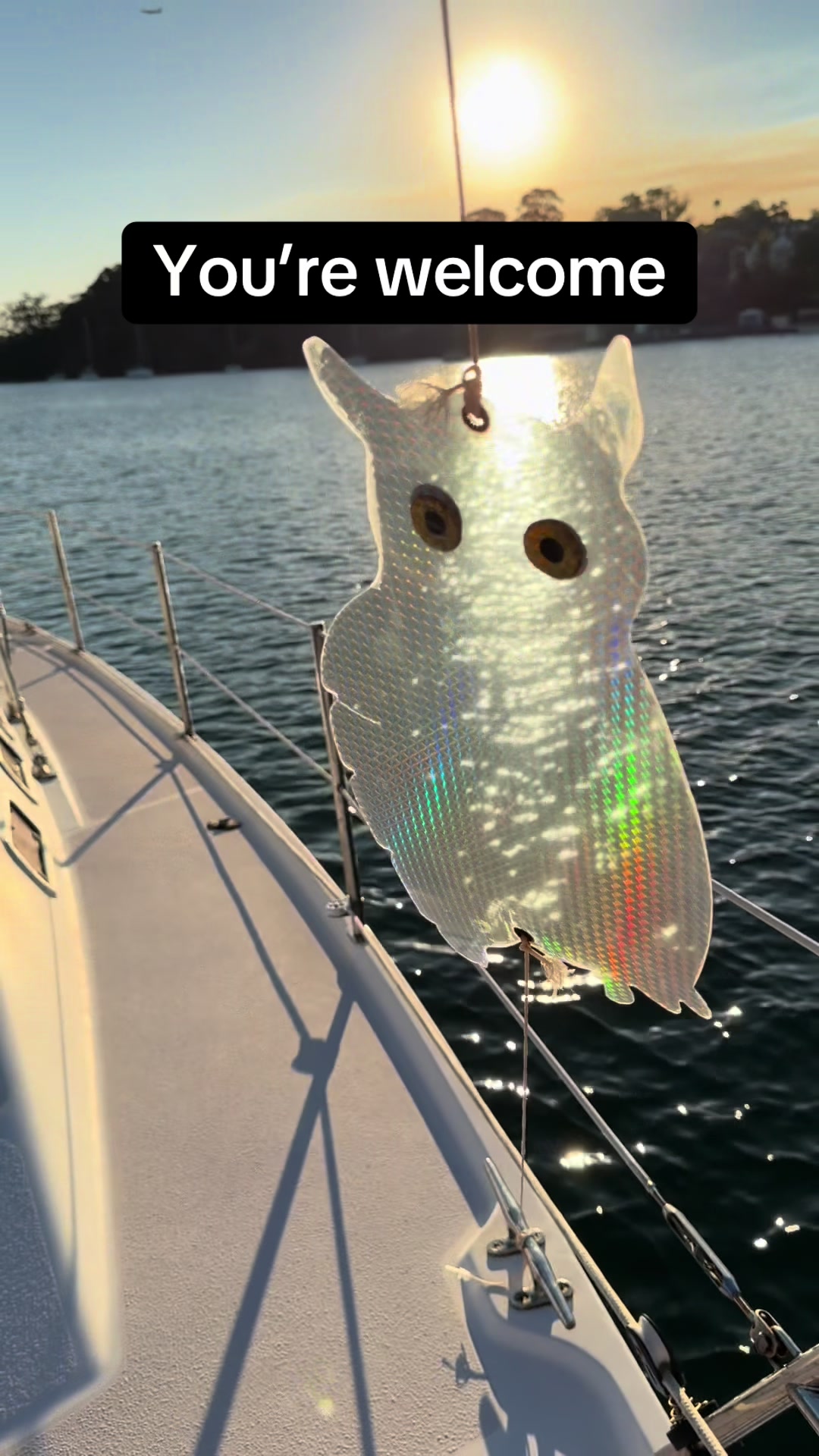 @treasure_sailing