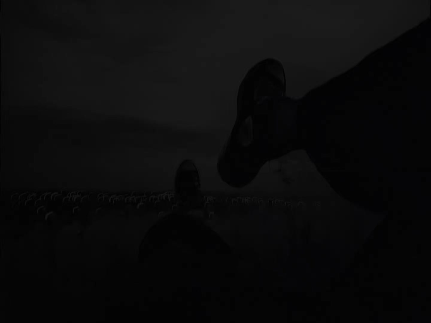 @𝑵𝒆𝒙𝒕 𝑻𝒓𝒂𝒄𝒌