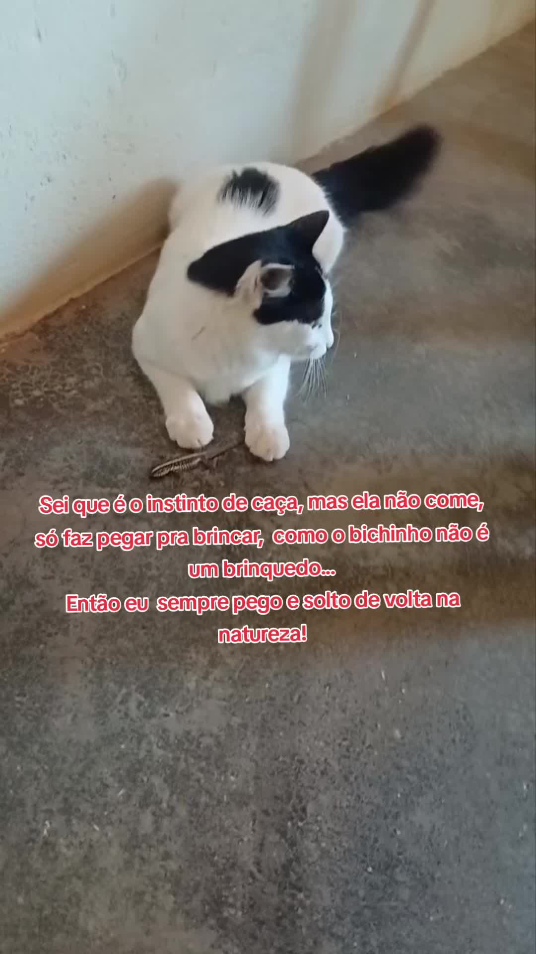 @Amante da natureza