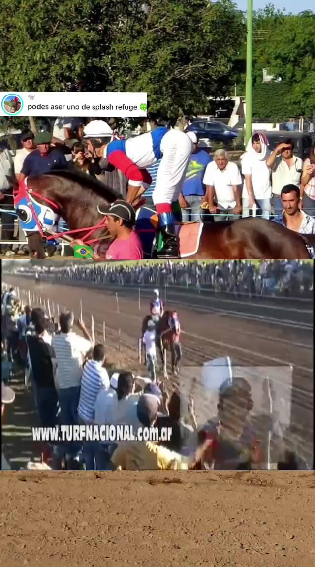 @WIL.🐎