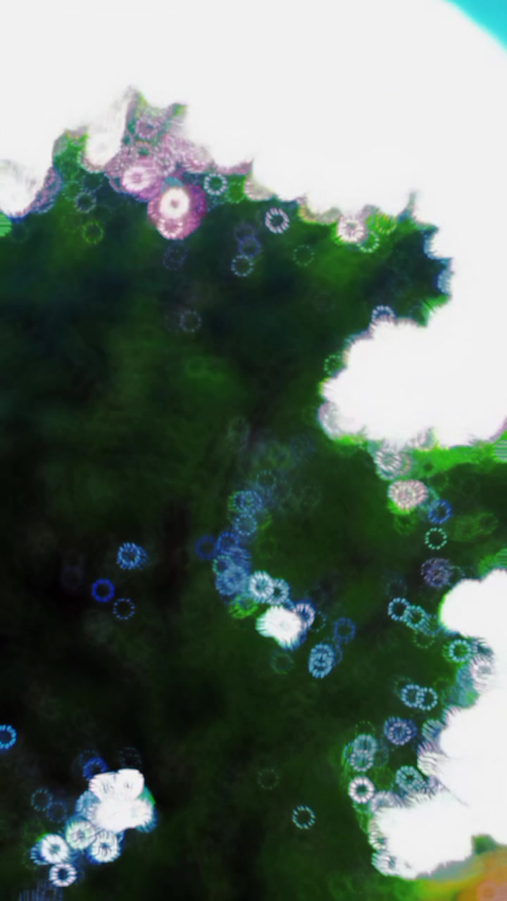 @༺★S𝒊𝒍𝒆𝒏𝒕ܔ༻