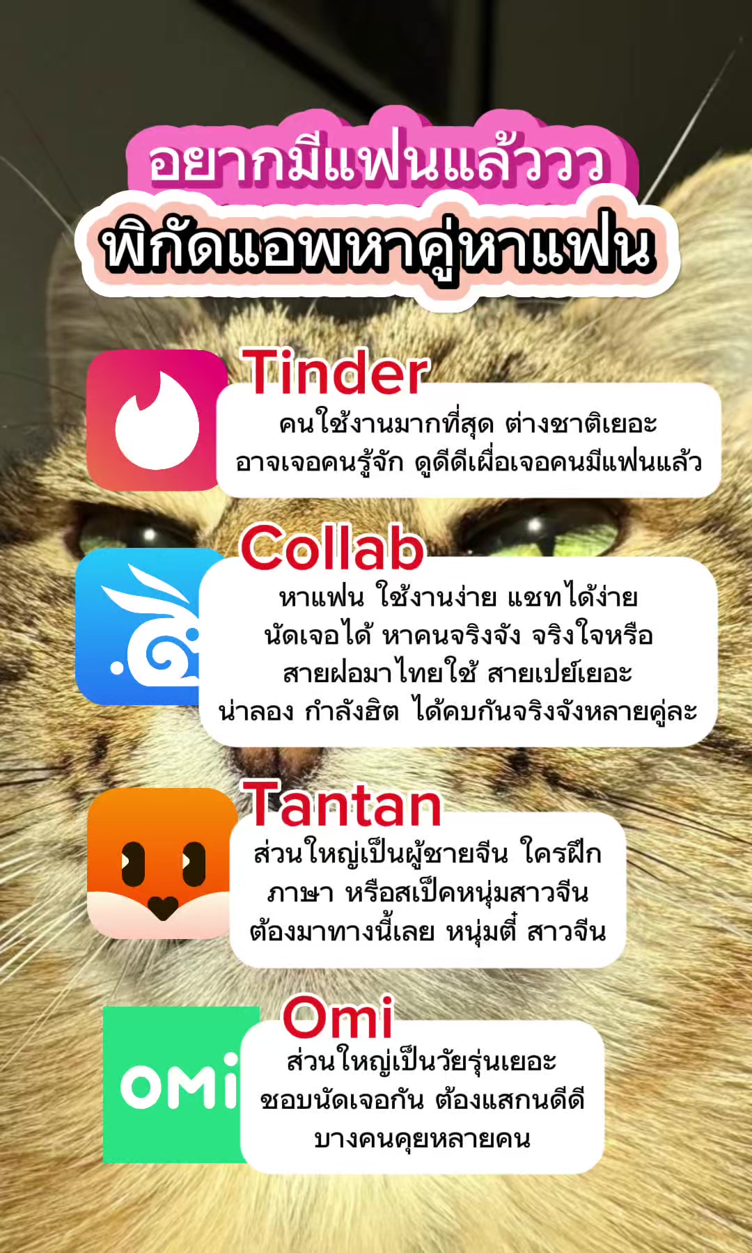 @Collab คนเหงา