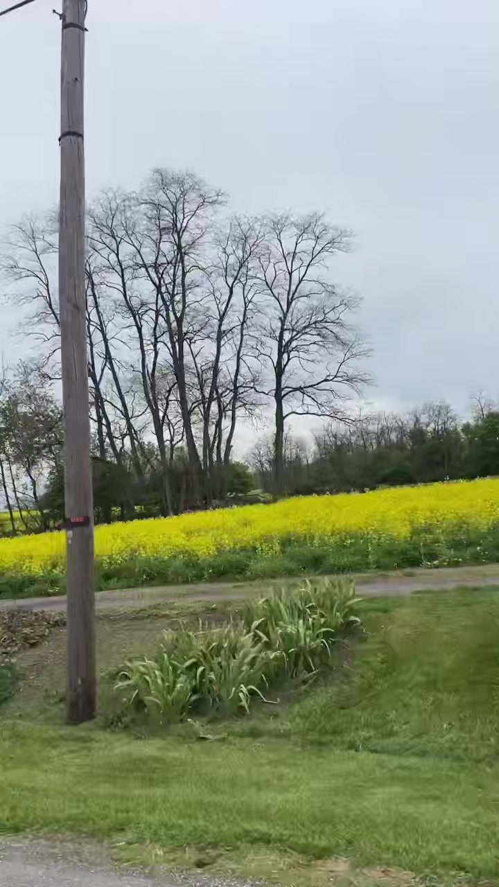 @rupathulung