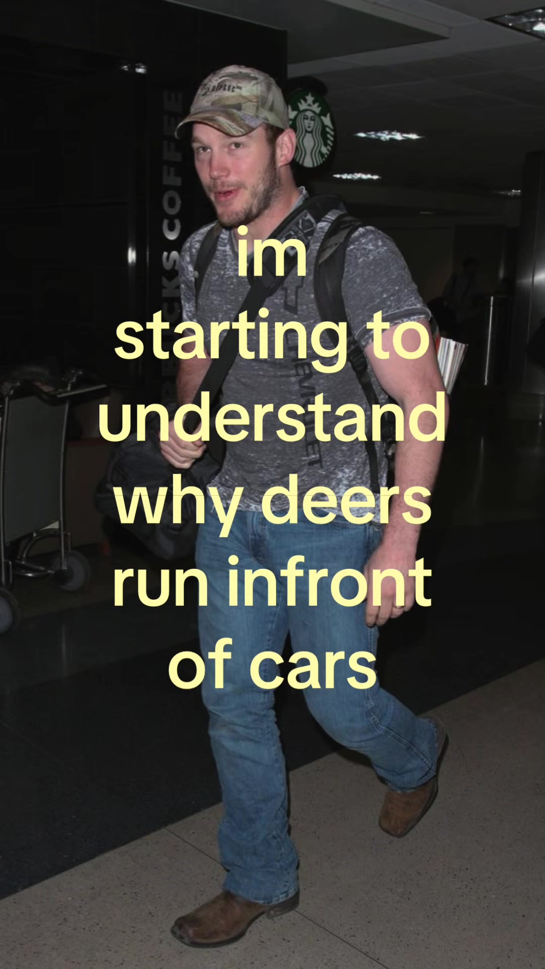 @gigi