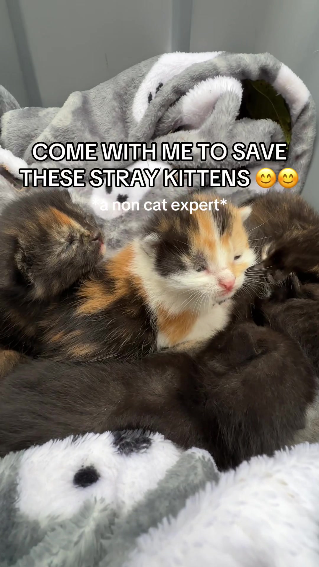 @meghan leah 🪽🤍🦢