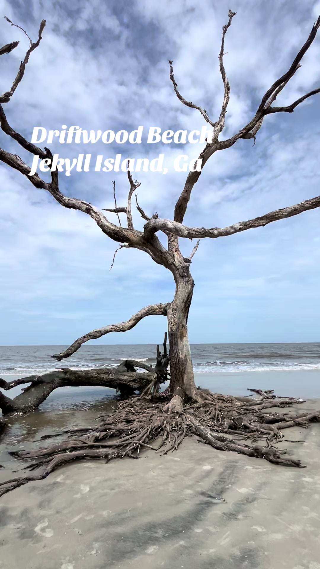 @Jekyll Island Nature Girl