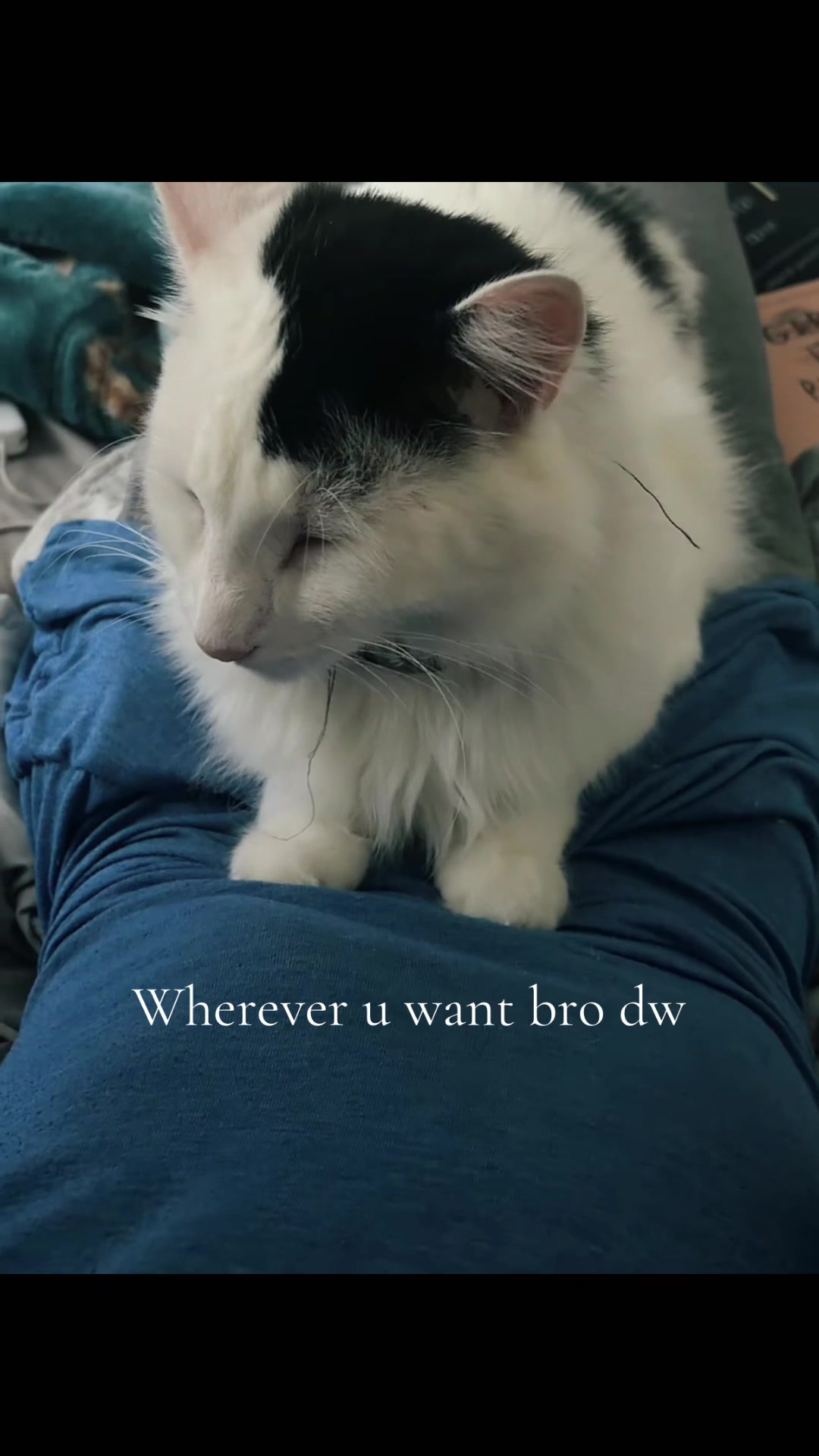 @maison margiela