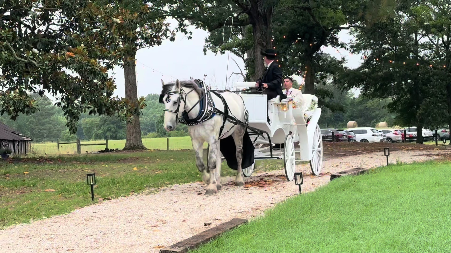 @southerncharmcarriages