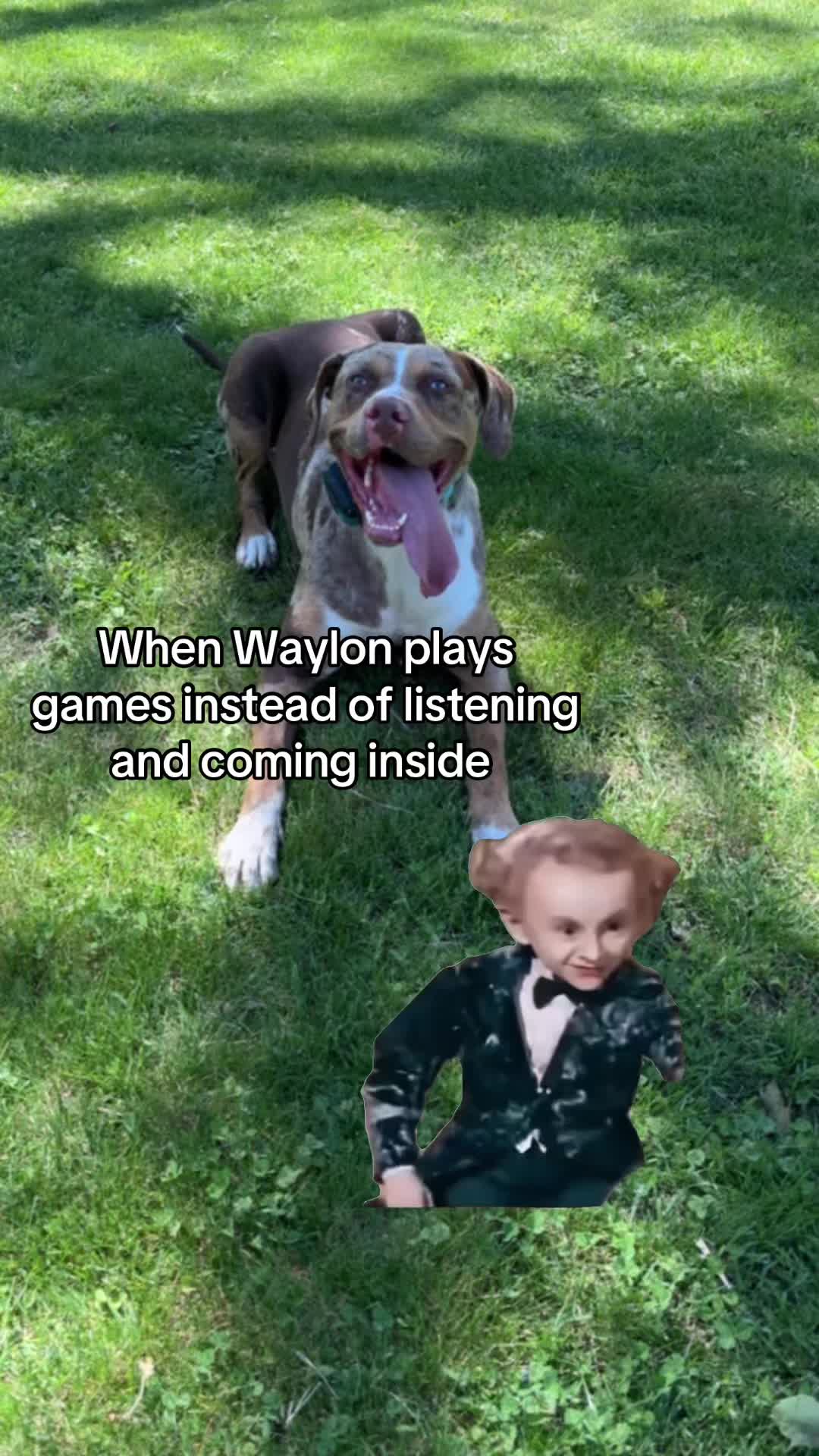 @Waylon