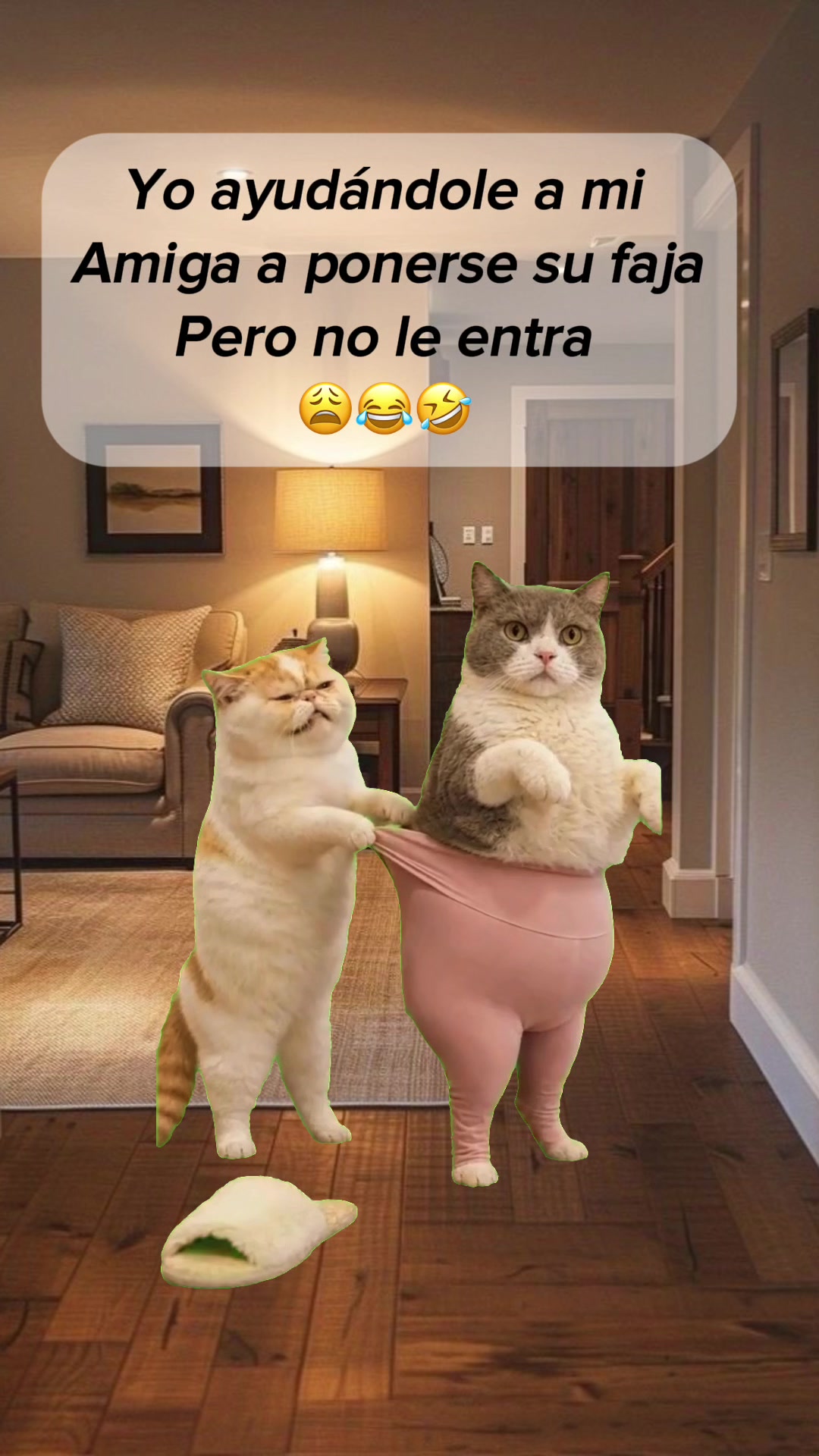 @๐ Paloma Rodriguez ๐ฒ๐ฝ