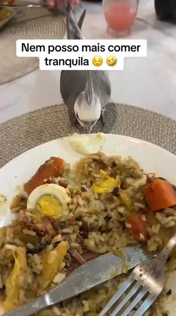 @19marilda62