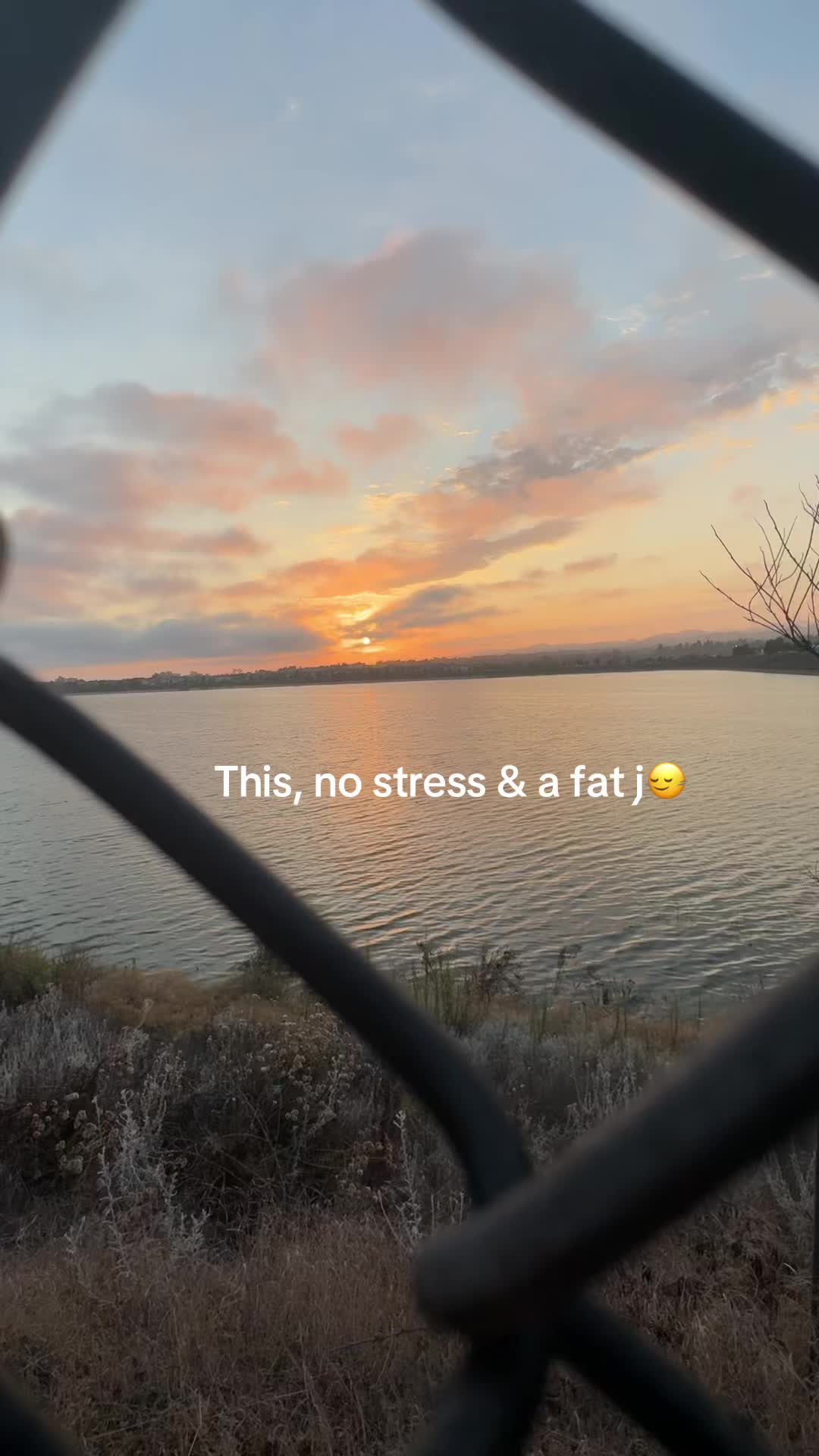 @dani