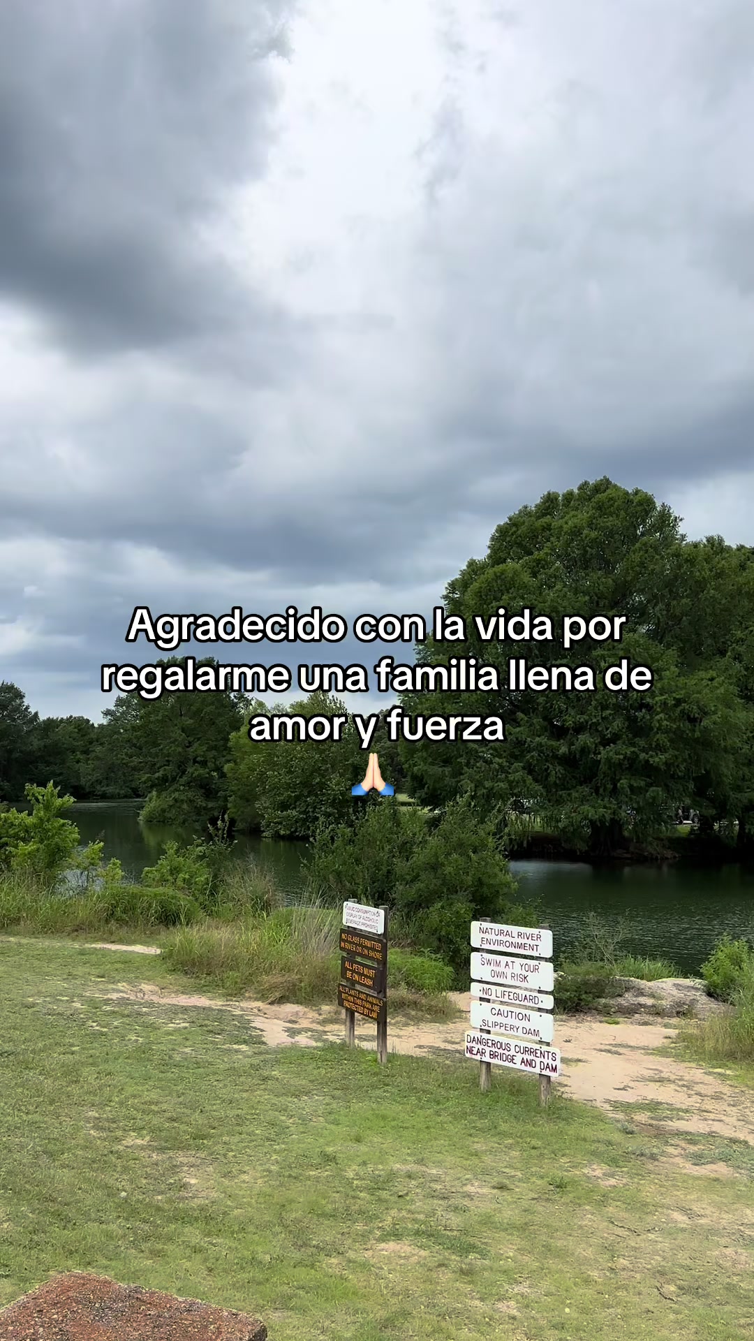 @Ruche_Reafinado 🤠