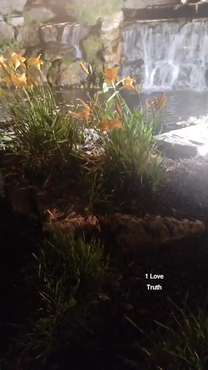 @LightSpiritualWarrior