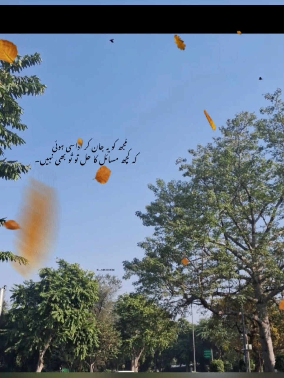 @TikTok Medley