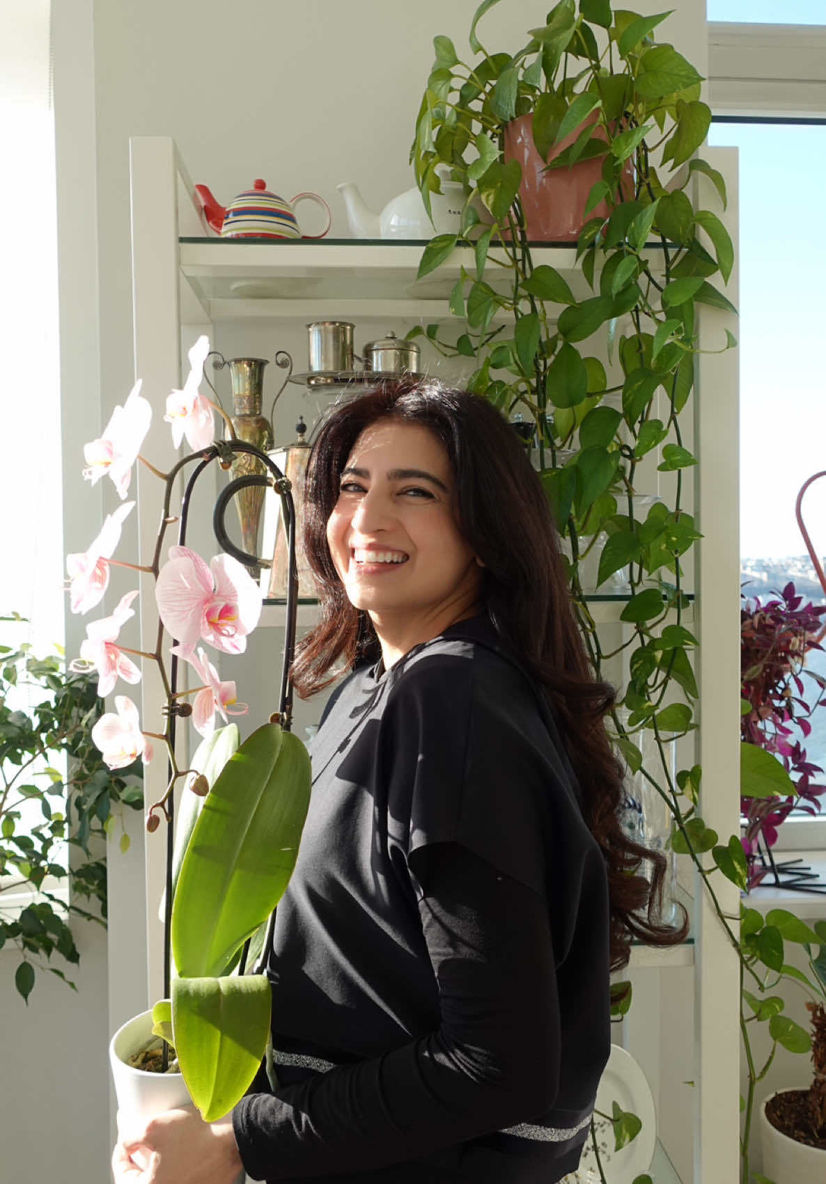 @Nadine Ali