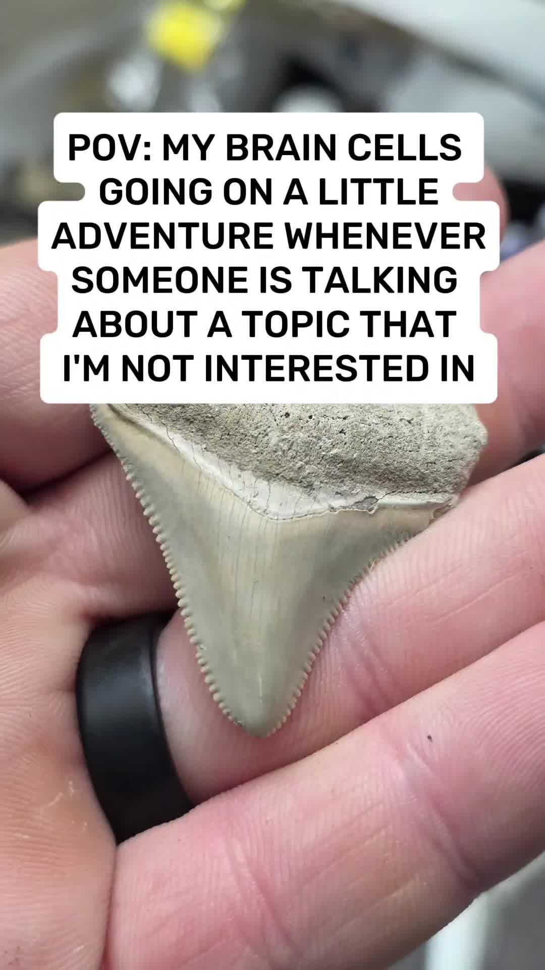 @RelicReef