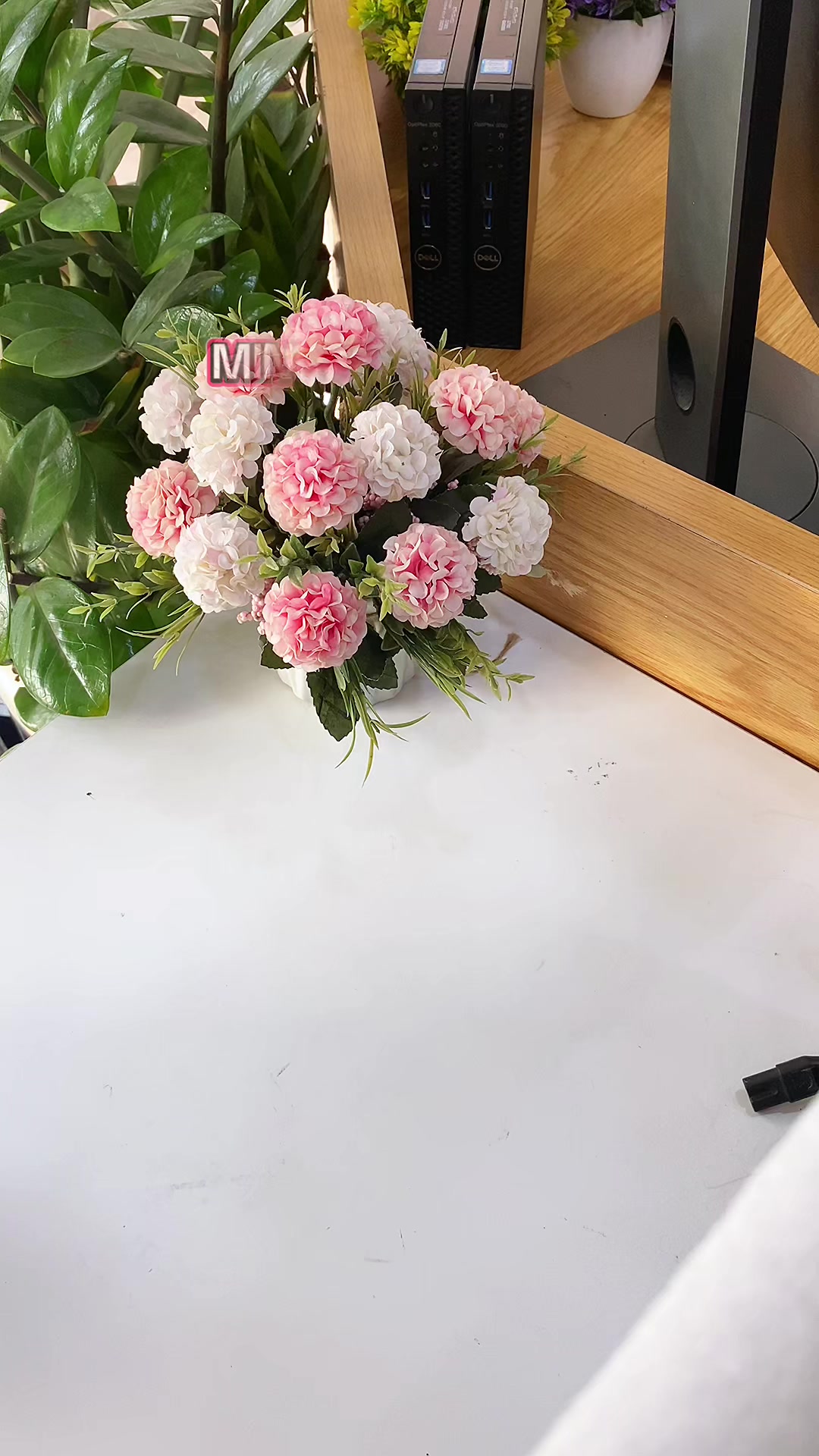 @Quỳnh Anh - TP Store