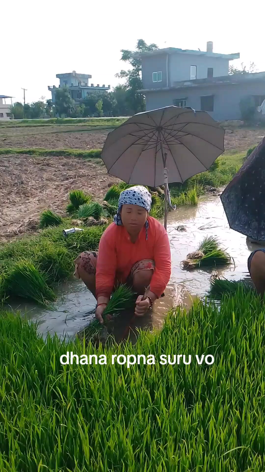 @ishika_thapa(•‿•)