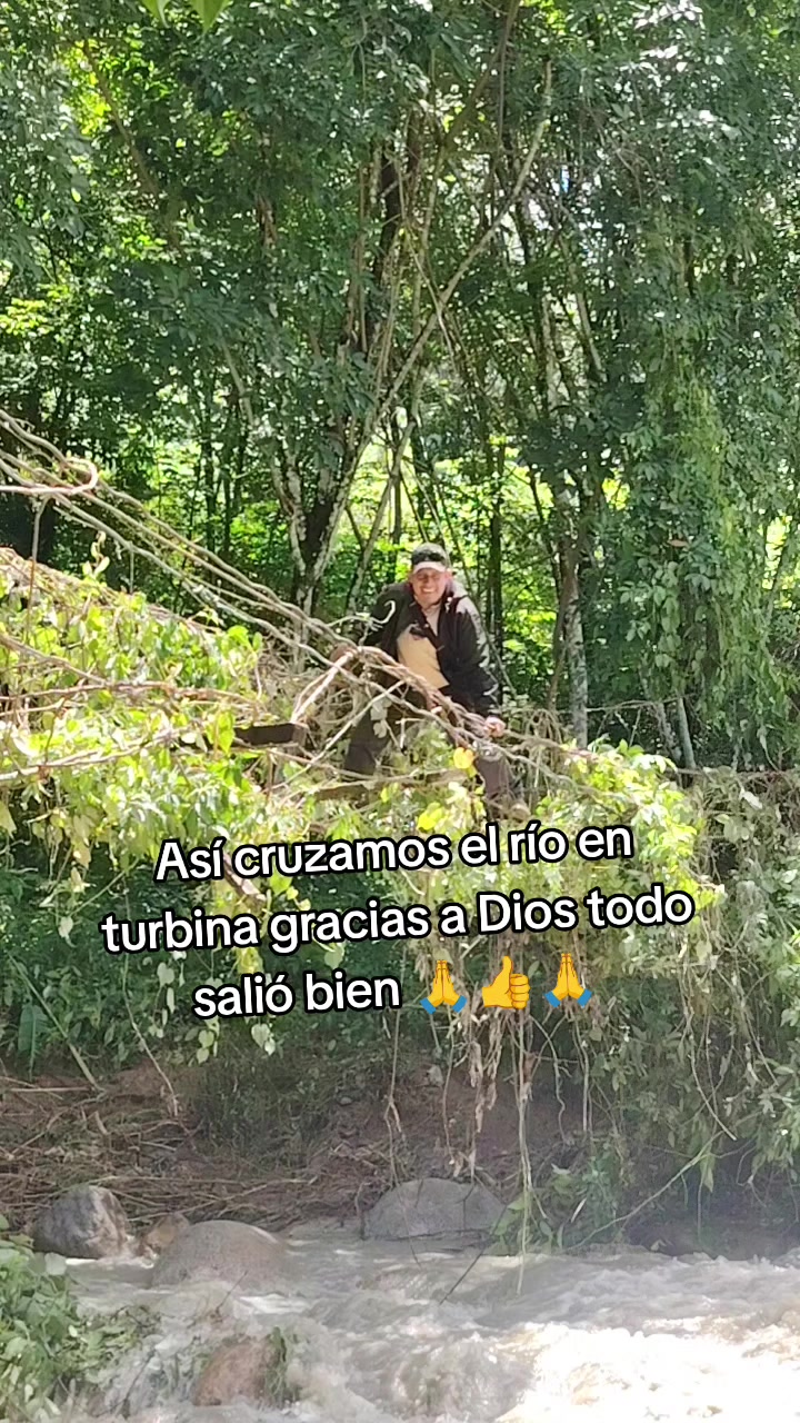 @Evercocyat
