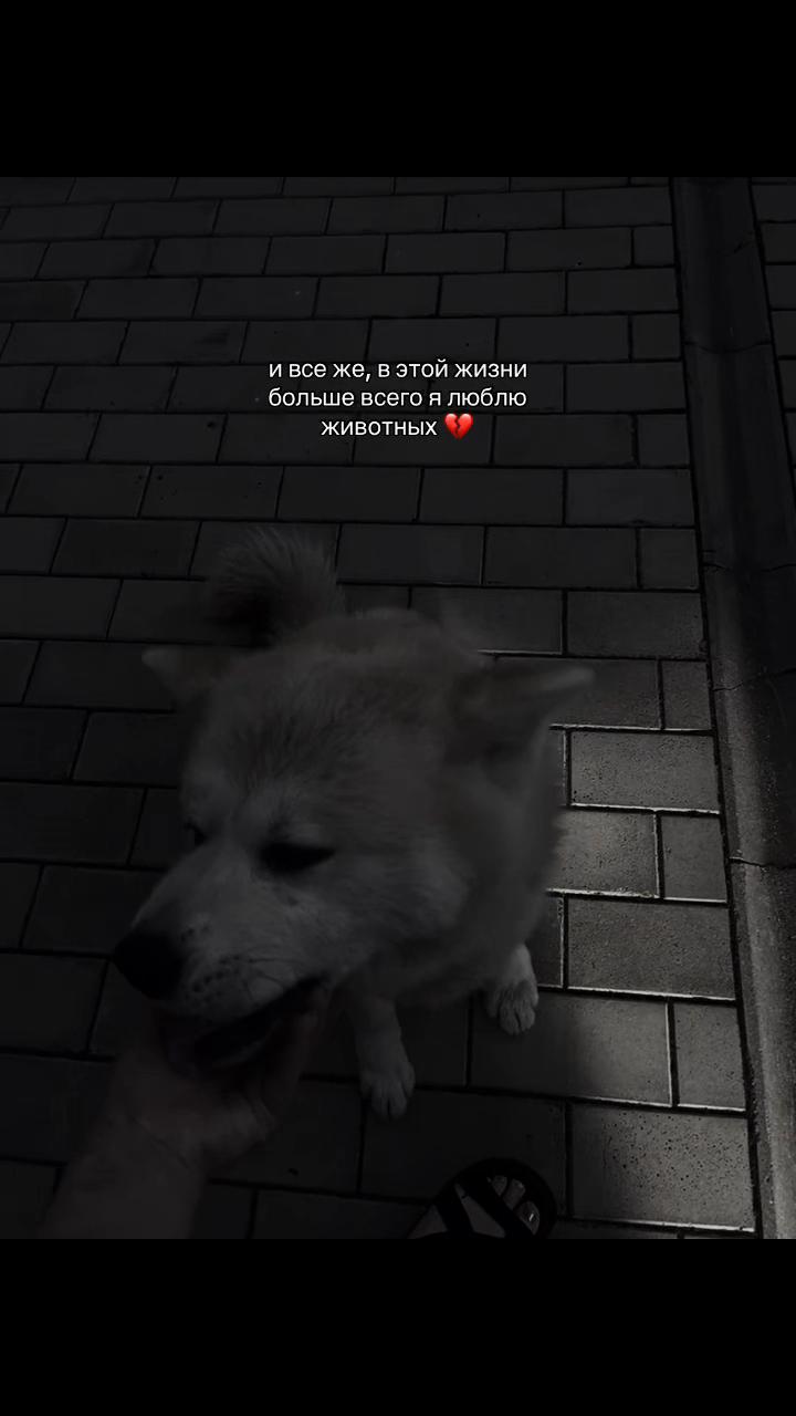 @𝐕.