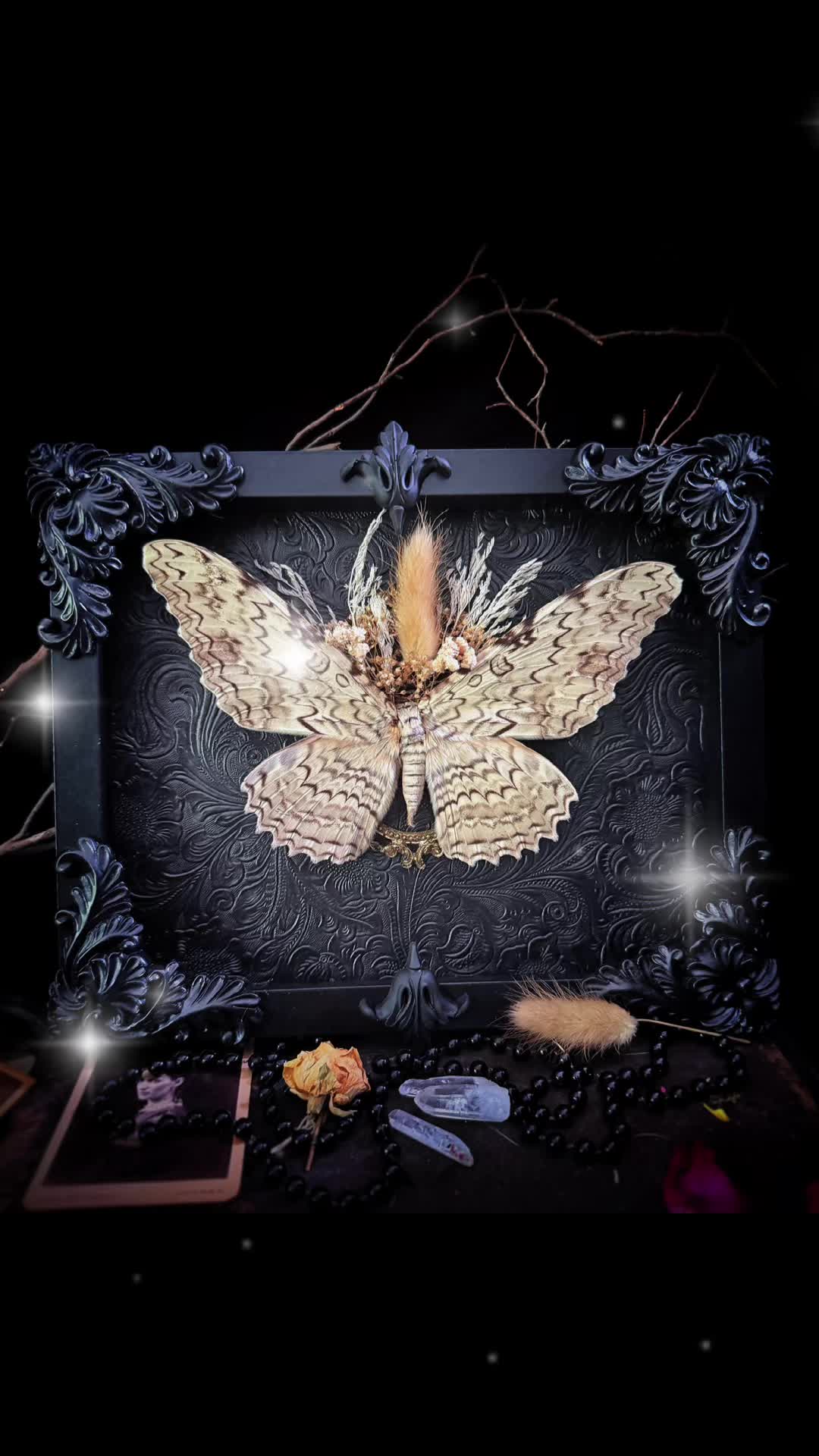 @🕯️Madame L&rsquo;s Art Oddities🕯️