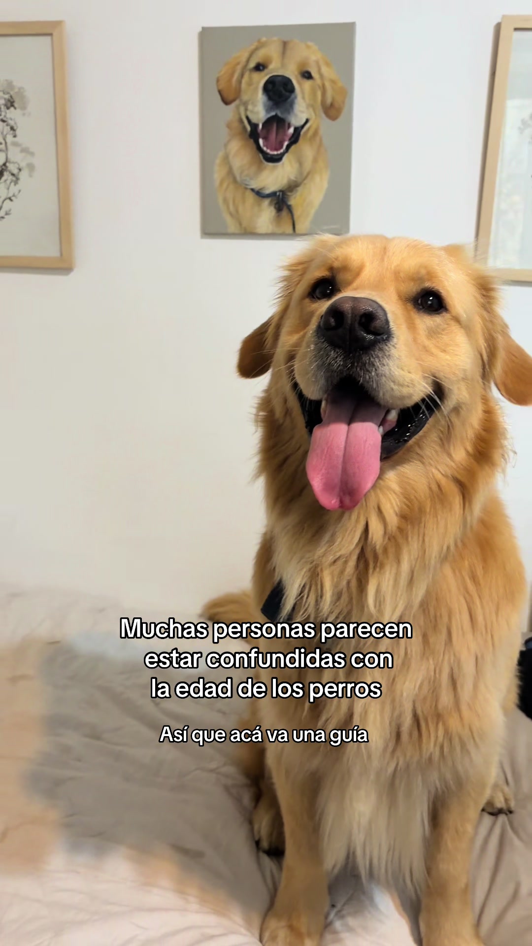 @Narco🐕🐾🐾