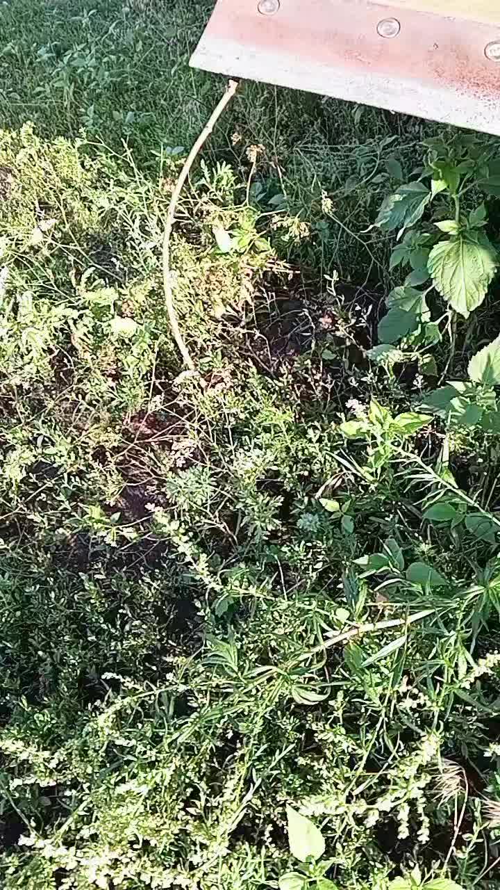 @килька