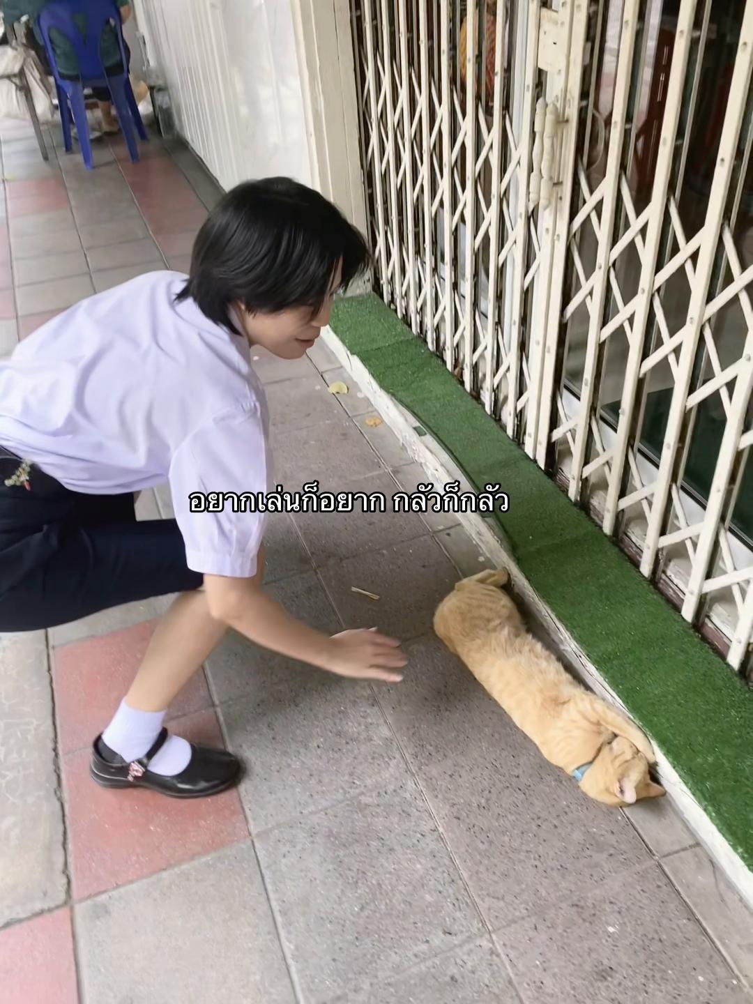 @มา7อย่าถาม8