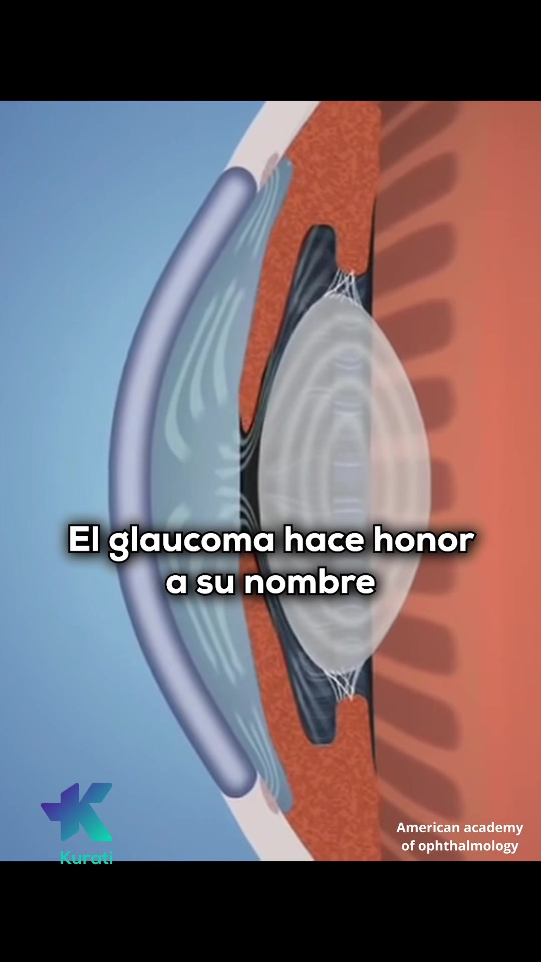 @Kurati | Oftalmolog&iacute;a
