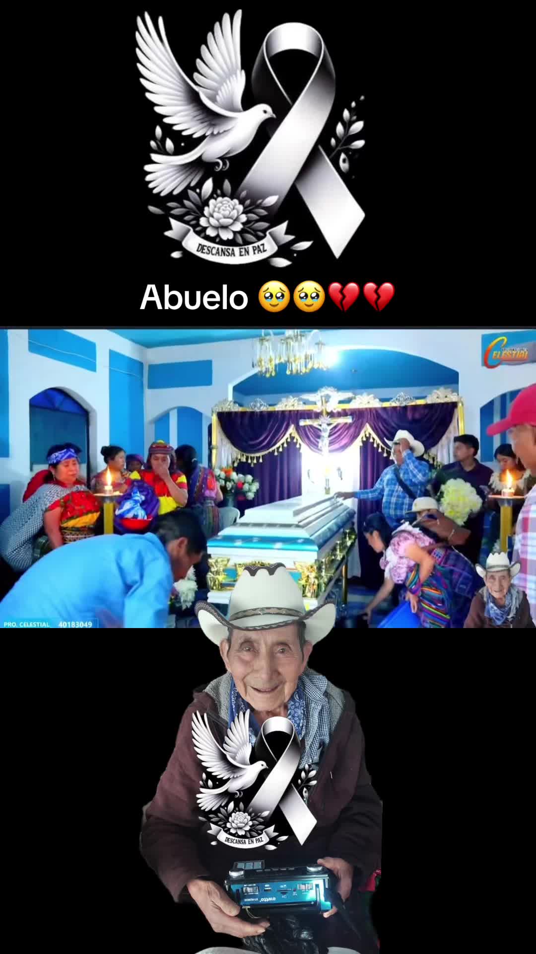 @Miguelito 🥕🐇