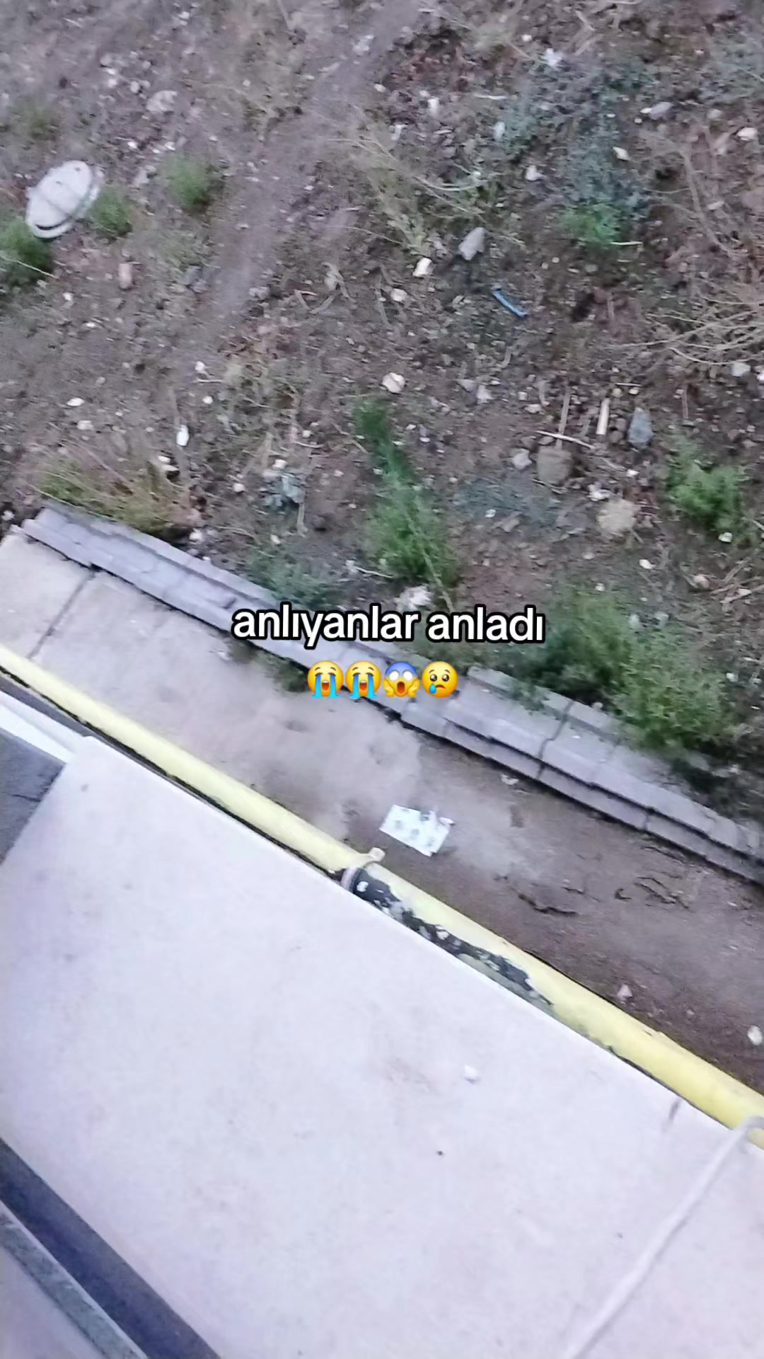 @karizmatik ayıcık. 🐻 😎