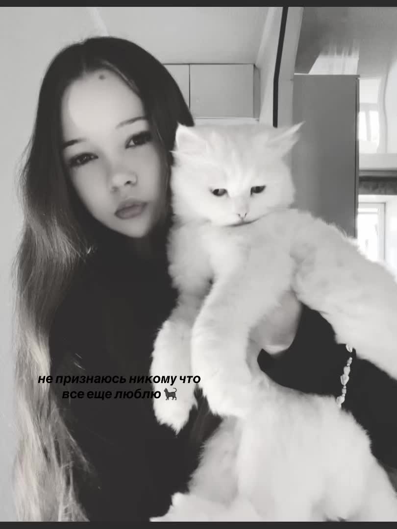 @𝔂𝓪𝓷𝓮𝓼𝓼𝓪