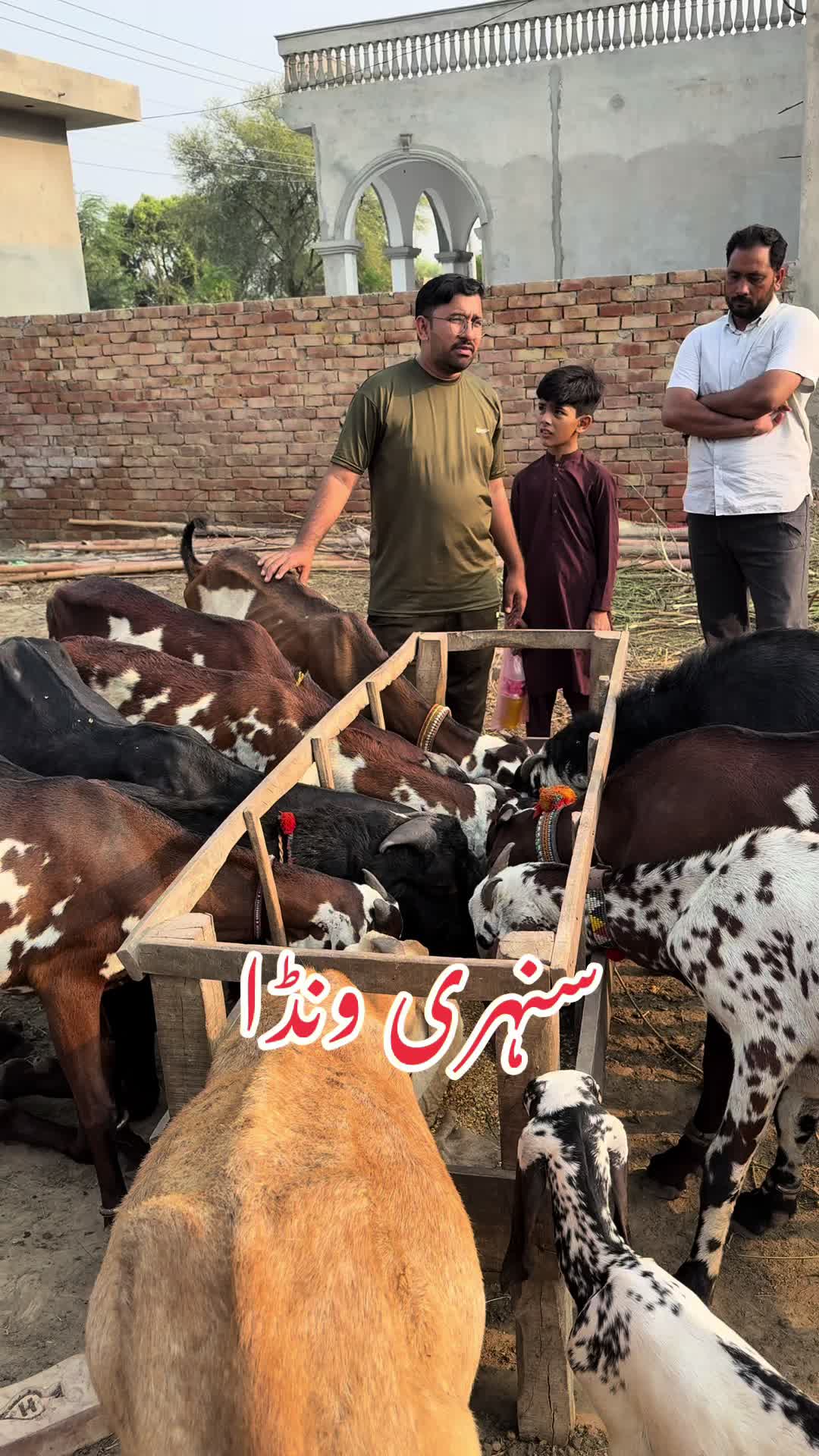 @Dr.Mohsin