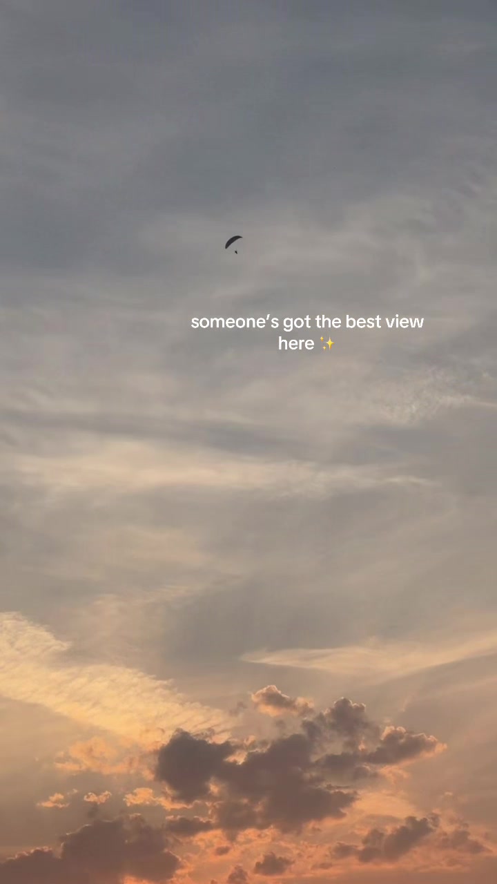 @prismveins