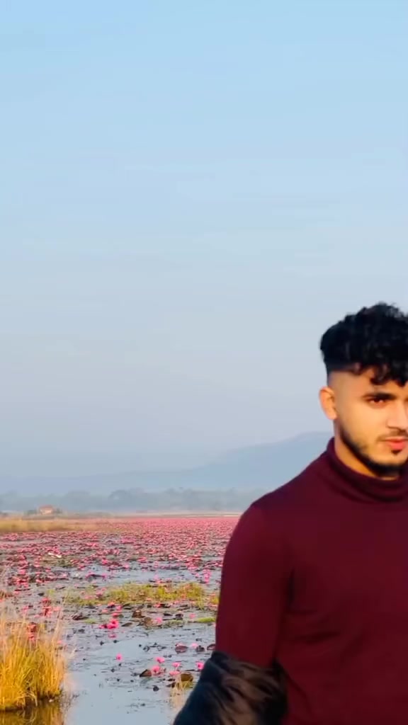 @I Q b A l M A M U N