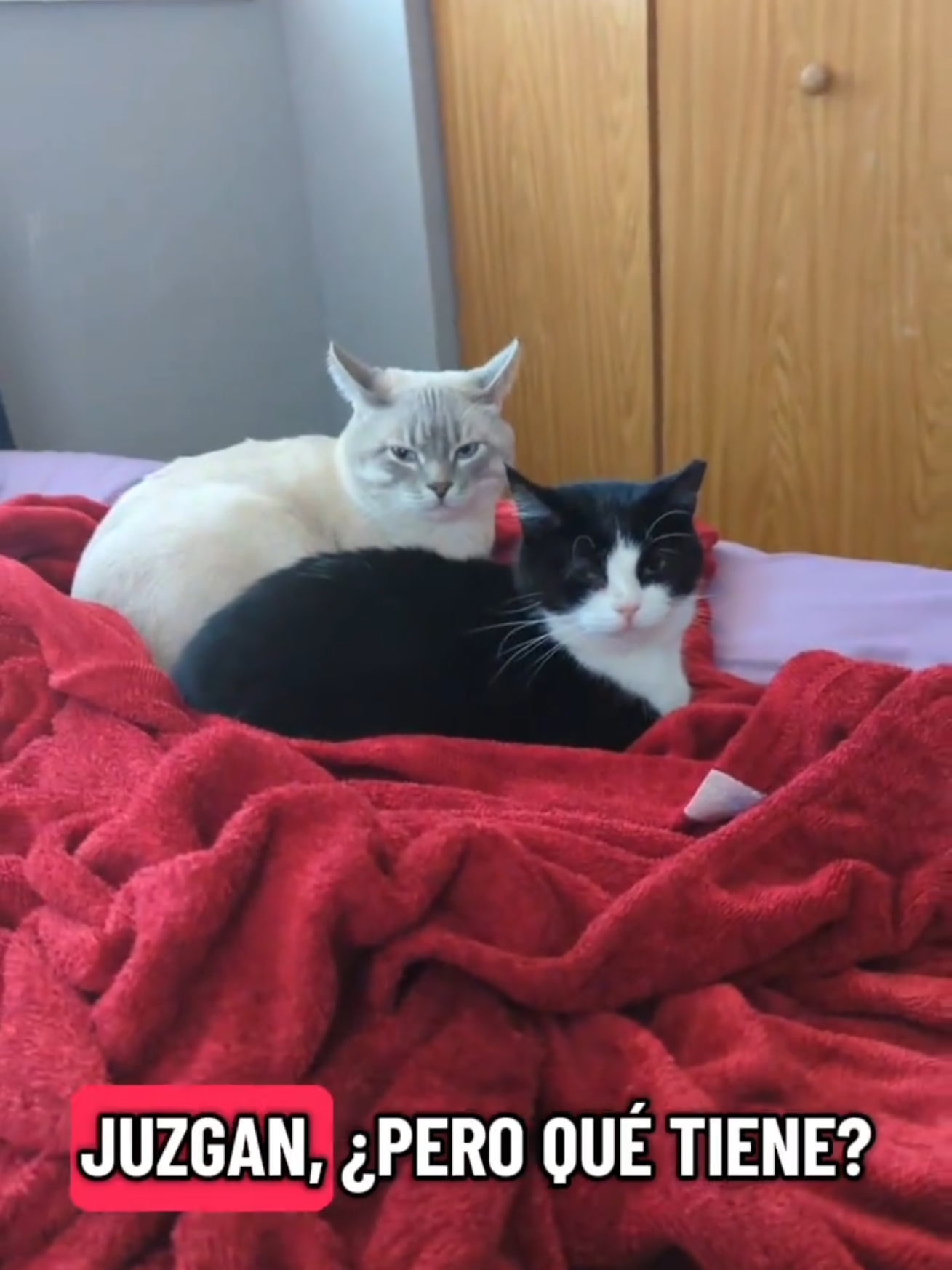 @Jessica🐾💞