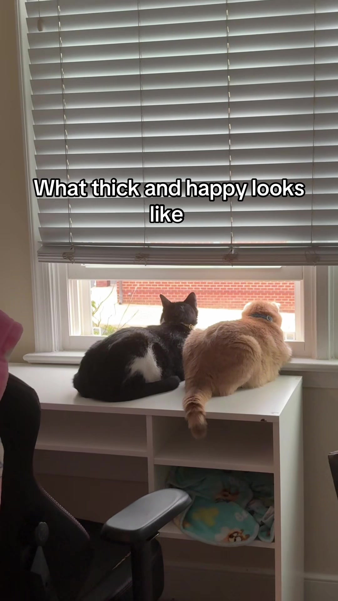 @Kat