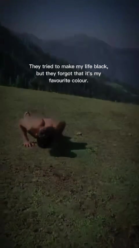 @been__.x