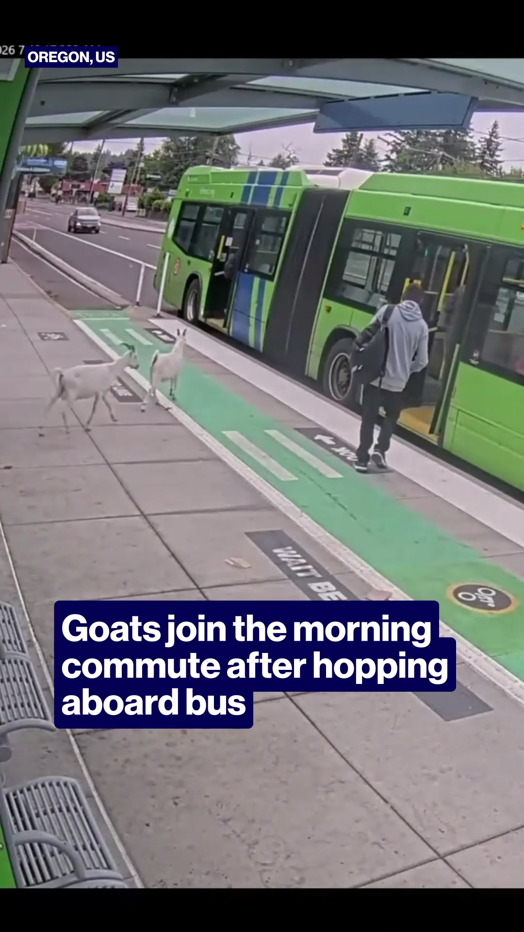 @TheProjectTV