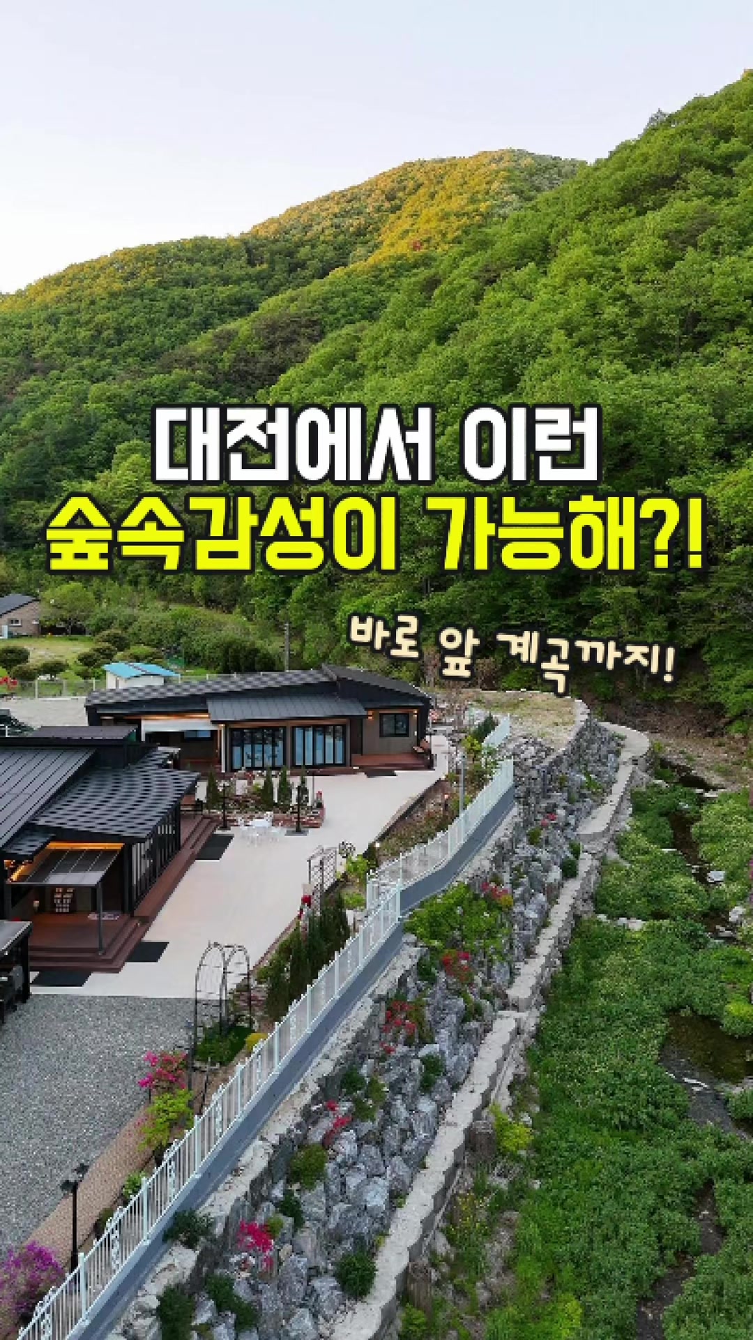 @대전토박이