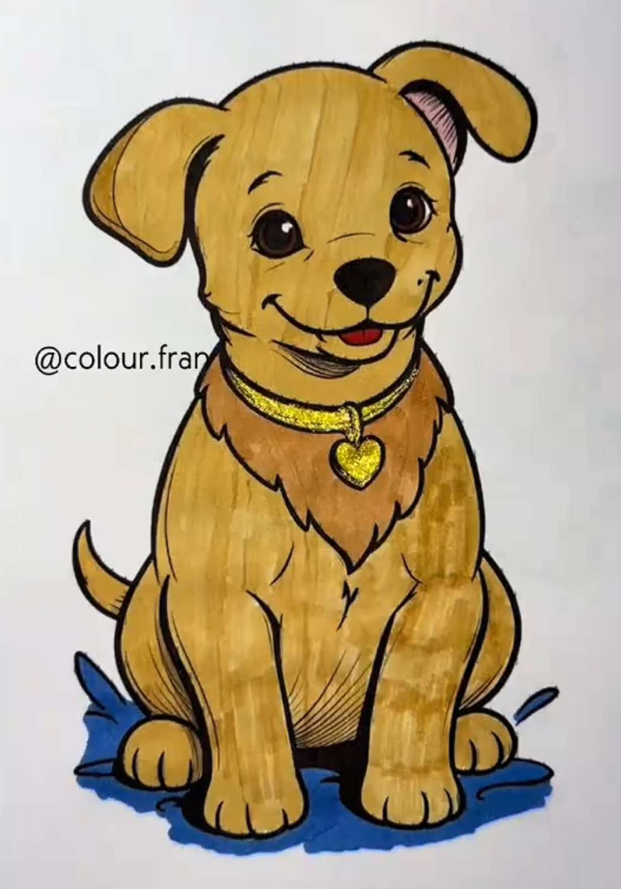 @colour.fran
