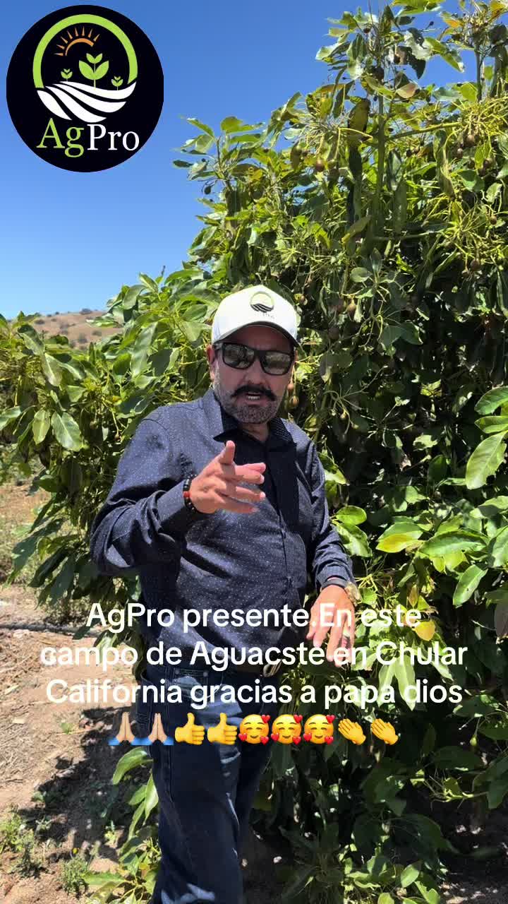 @Piedad Ayala