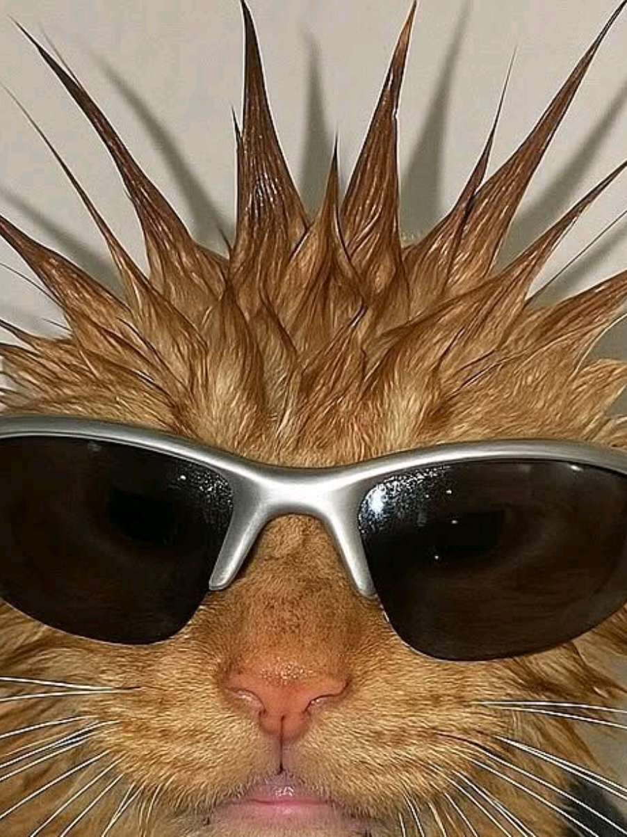 @:3